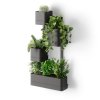 Sada závěsných květináčů Umbra Cubiko Plant Box 4 ks | černá