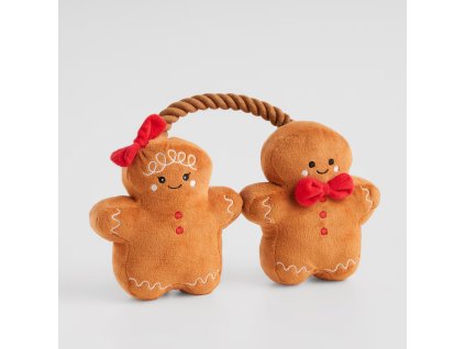 2025 12 11 19 03 24 HP Audio Control