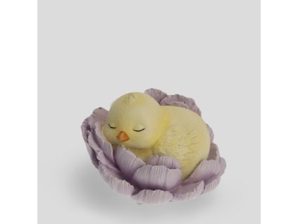 2026 01 22 12 34 44 Business Workplace of Sabina Kovácová