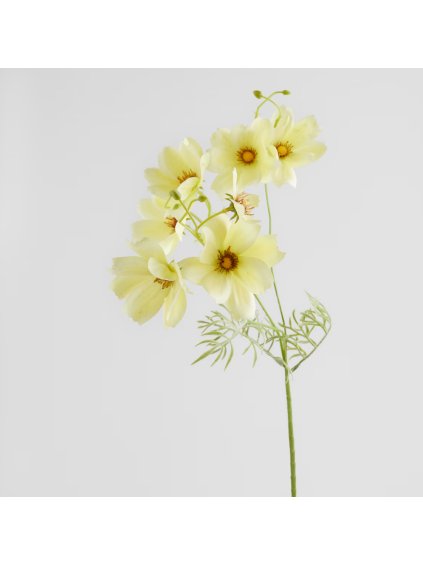 2026 01 27 13 54 04 HP Audio Control