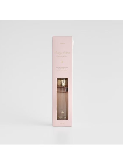 2026 01 27 17 25 45 HP Audio Control