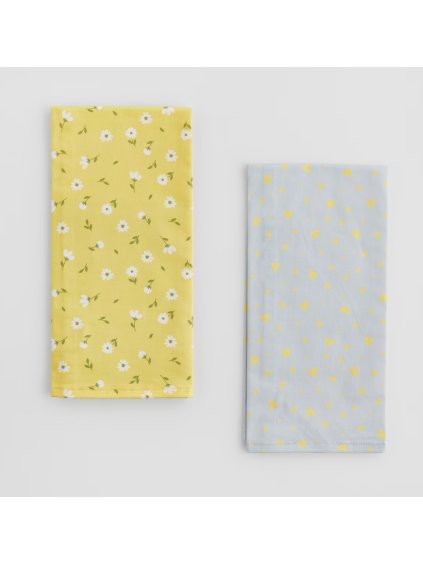 2026 01 27 18 31 20 HP Audio Control