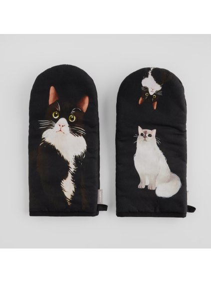 2026 02 04 17 17 59 HP Audio Control