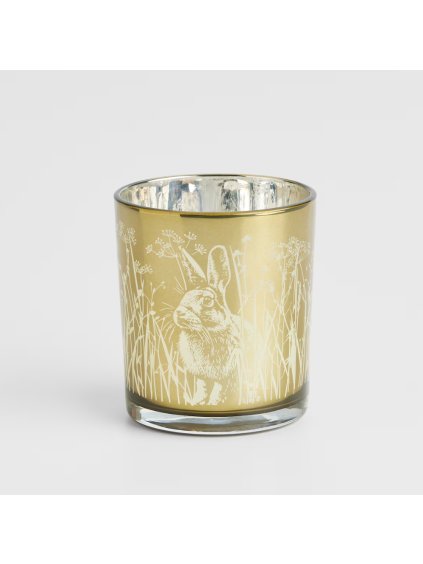 2026 02 05 17 30 15 HP Audio Control