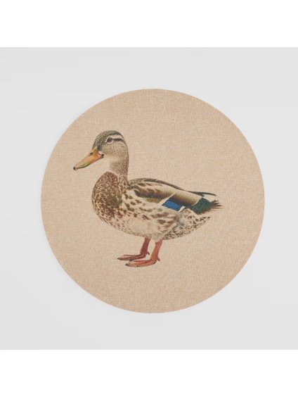 2026 02 05 17 57 40 HP Audio Control