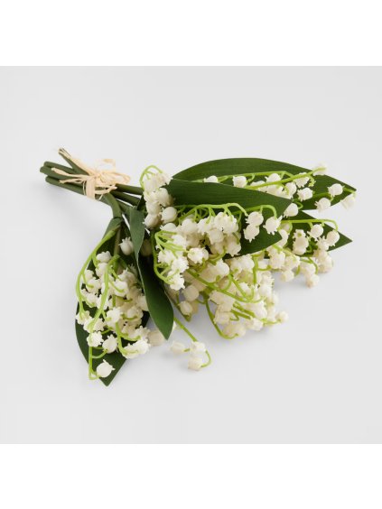 2026 03 02 15 33 55 SAP Logon 750