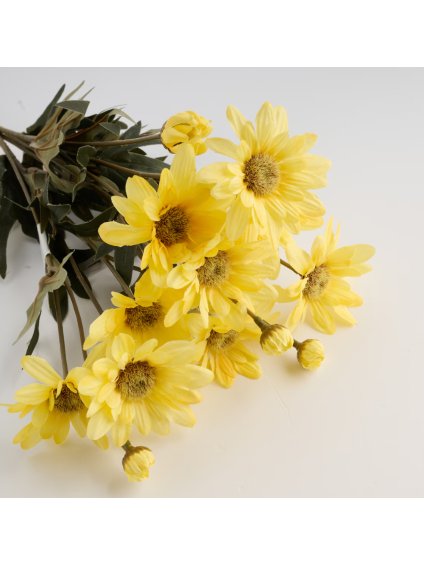 2026 03 02 16 19 00 SAP Logon 750