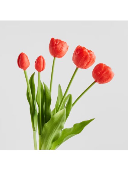 2026 03 03 12 45 24 SAP Easy Access