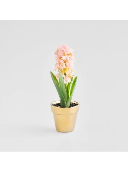 2026 03 11 10 27 39 Inbox S.Kovacova@ledvance.com Outlook