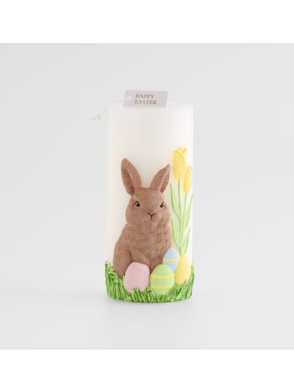 2026 03 11 14 58 12 Chat Vaneková, Timea Microsoft Teams