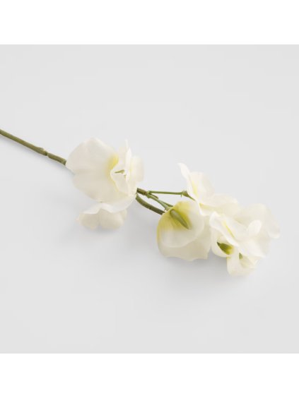 2026 03 11 15 04 34 Chat Vaneková, Timea Microsoft Teams