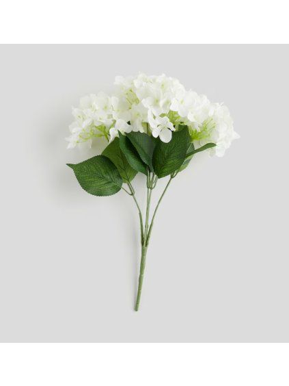 2026 03 17 13 28 03 Plant material No. Creation