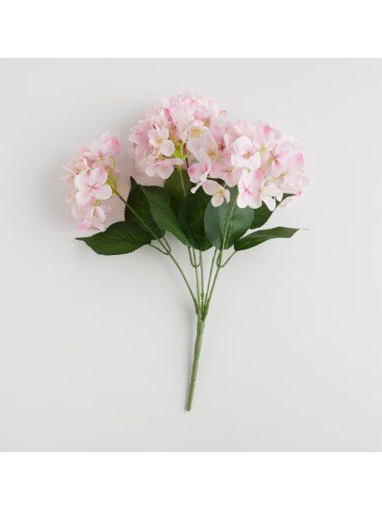 2026 03 17 13 28 24 Plant material No. Creation