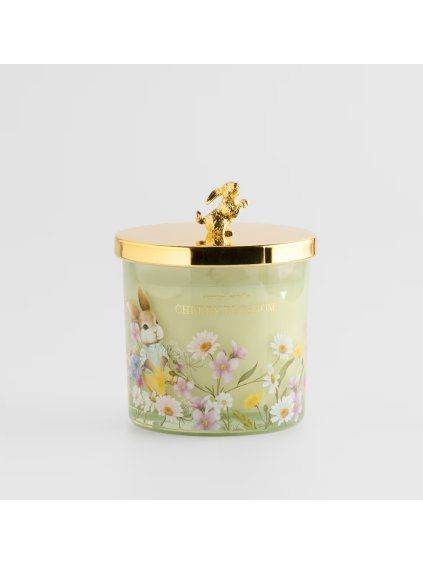 2026 03 19 15 08 57 HP Audio Control