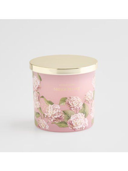 2026 03 19 16 20 33 HP Audio Control