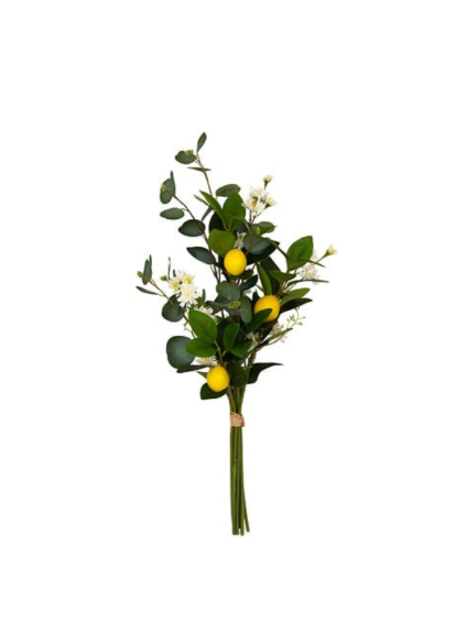 2026 04 23 16 25 48 SAP Logon 750