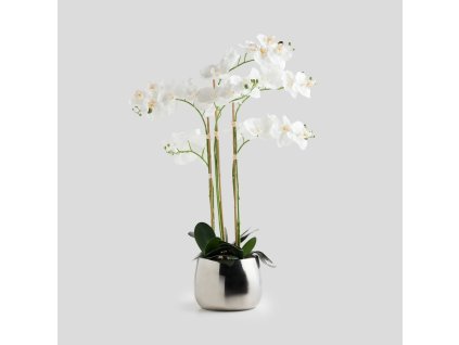 c7177331811f01543195fb579c3967f5