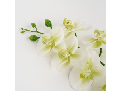 dfd825ce54f919e3e977cec7178a50e1