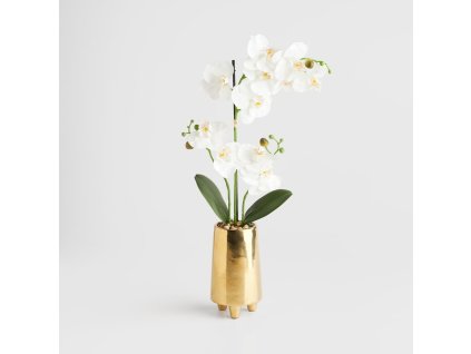 4125ddd44ffc439f92b3024b9834a173