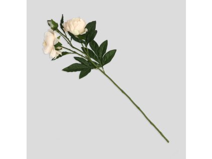 1190b28afc9cdc534bfd7f06c9c8648d