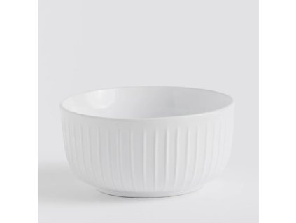 2025 08 01 09 54 39 Miska TUJA and 16 more pages Work Microsoft​ Edge