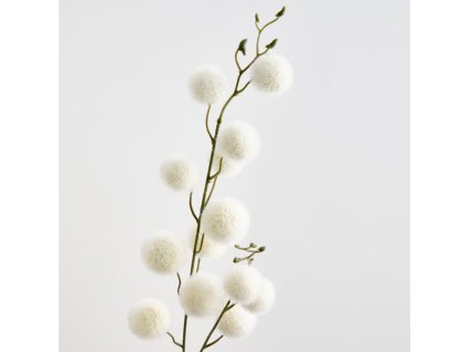 2025 08 11 11 38 32 Kwiat Divinos home&you and 9 more pages Work Microsoft​ Edge