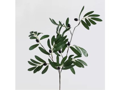 2025 08 11 16 11 12 Kvet OLIVESO and 7 more pages Work Microsoft​ Edge