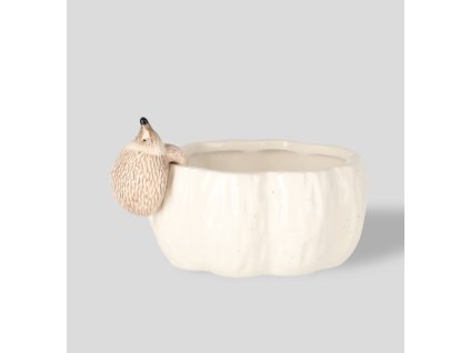 2025 08 12 15 38 59 Miska Hedgin home&you and 8 more pages Work Microsoft​ Edge