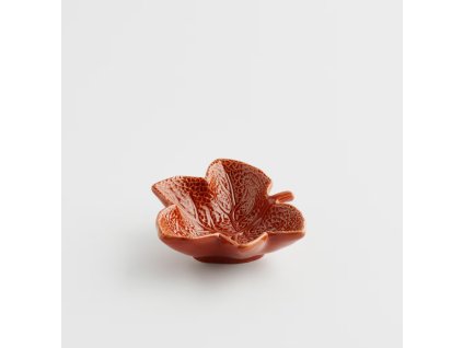 2025 08 13 16 42 51 Miska Mapel home&you and 4 more pages Work Microsoft​ Edge