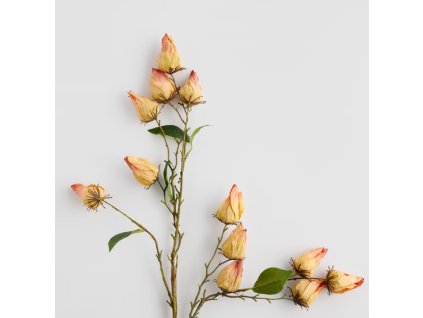 2025 09 16 14 44 19 GSS MMD AMERICAS Inbox GSS MMD AMERICAS Outlook