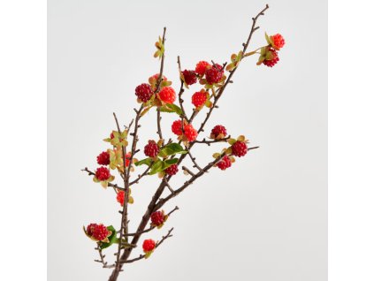 2025 09 16 16 17 06 SAP Logon 750