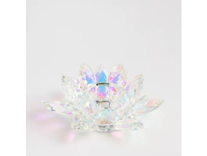 2025 10 22 11 19 03 SAP Logon 750