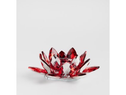 2025 10 22 11 38 58 SAP Logon 750