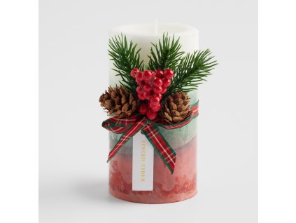 2025 10 23 12 41 13 SAP Logon 750