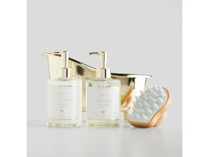 2025 10 28 12 10 21 HP Audio Control