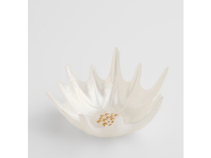 2025 10 28 12 15 11 HP Audio Control