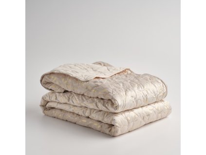 2025 10 28 13 36 27 HP Audio Control