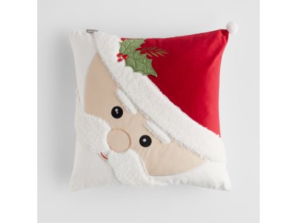 2025 10 30 11 36 00 SAP Logon 750