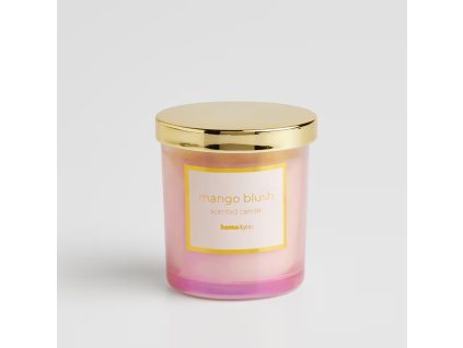 2025 11 03 15 36 49 SAP Logon 750