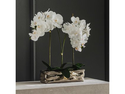 2025 11 10 11 41 44 Business Workplace of Sabina Kovácová