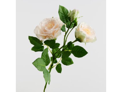 2025 11 10 12 22 50 Business Workplace of Sabina Kovácová