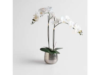 2025 11 10 13 10 14 Business Workplace of Sabina Kovácová