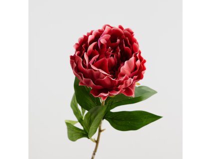 2025 11 11 11 06 53 Plant material No. Creation