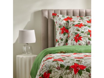 2025 11 11 13 15 06 HP Audio Control