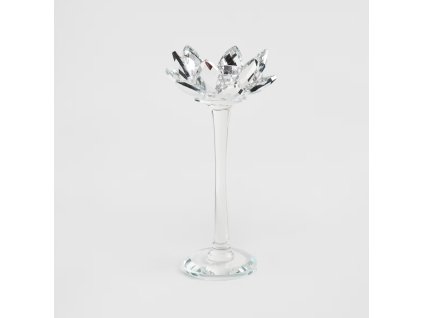 2025 11 11 15 45 09 Display Document Basic Data WF TEA New Product (ZNP)