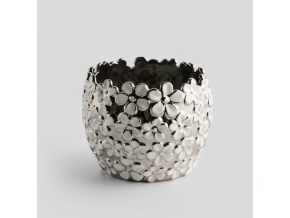 2025 11 12 12 23 54 SAP Logon 750