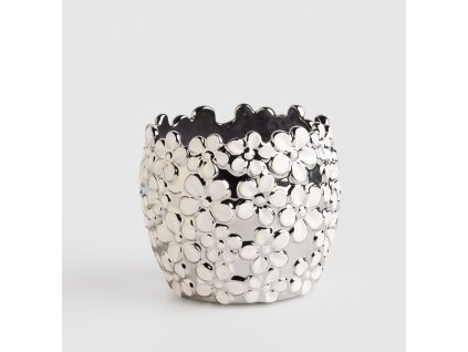 2025 11 12 12 36 12 SAP Logon 750