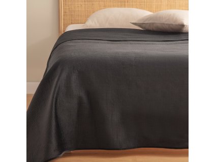 2025 11 19 12 09 39 Plant material No. Creation