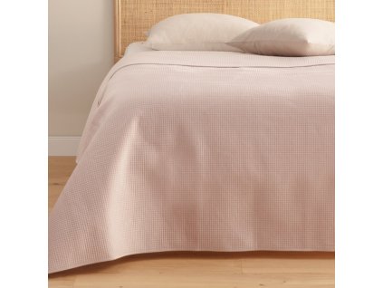 2025 11 19 12 38 02 Plant material No. Creation