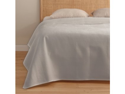 2025 11 19 12 41 05 Plant material No. Creation